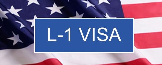 Image result for L-1 Visa